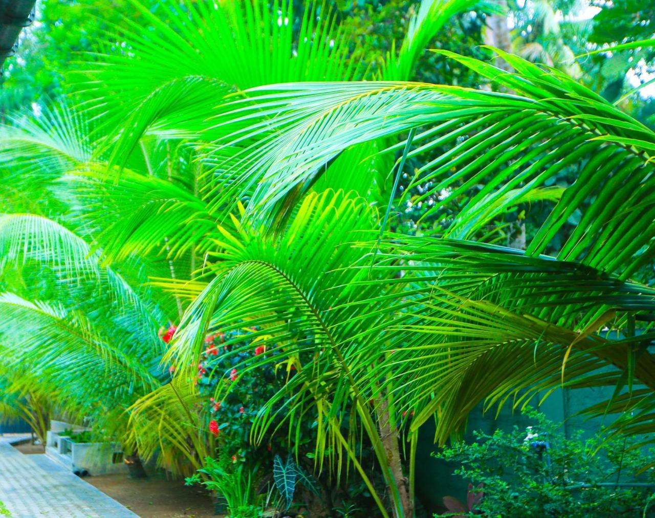 Sri Lankan Villa Elagawagoda Экстерьер фото